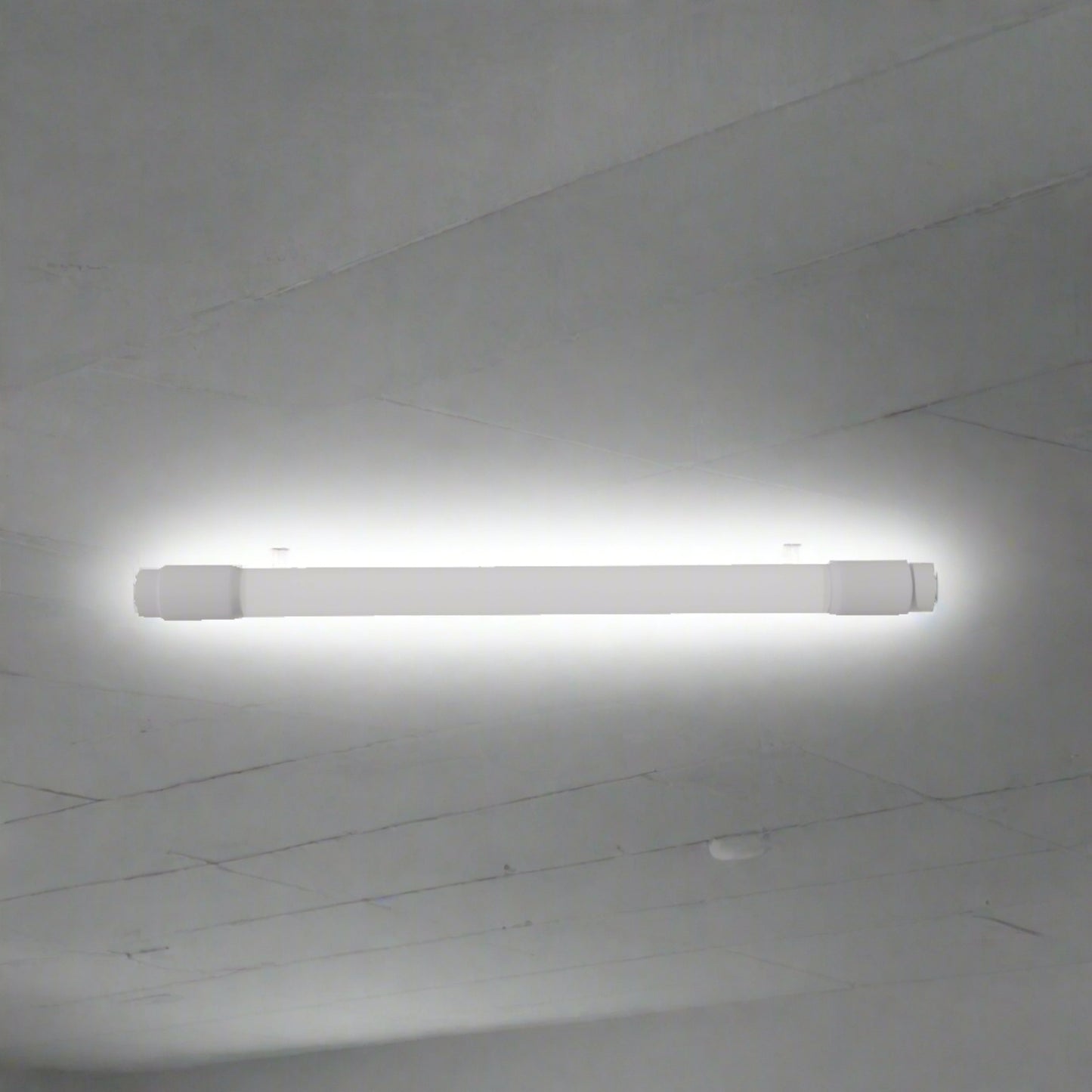 Divolca 2 Feet T8 LED Tube Light 10W D/L - DP1200