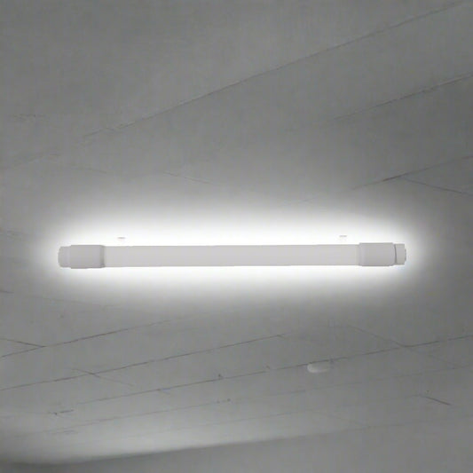 Divolca 2 Feet T8 LED Tube Light 10W D/L - DP1200